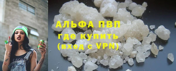 стафф Новодвинск