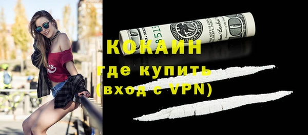 стафф Новодвинск