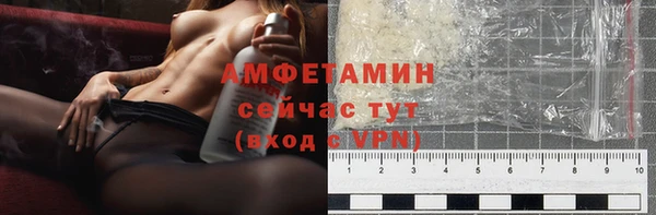 стафф Новодвинск