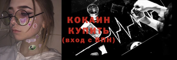 стафф Новодвинск