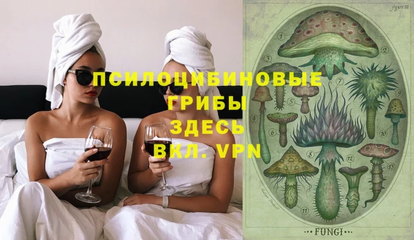 стафф Новодвинск