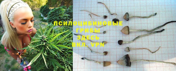 наркотики Новозыбков