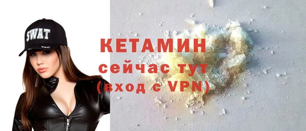 стафф Новодвинск