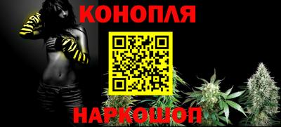 крисы Гай
