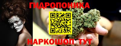гидропоника Азнакаево