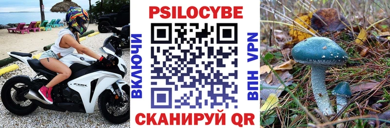 Псилоцибиновые грибы Psilocybine cubensis  Менделеевск 
