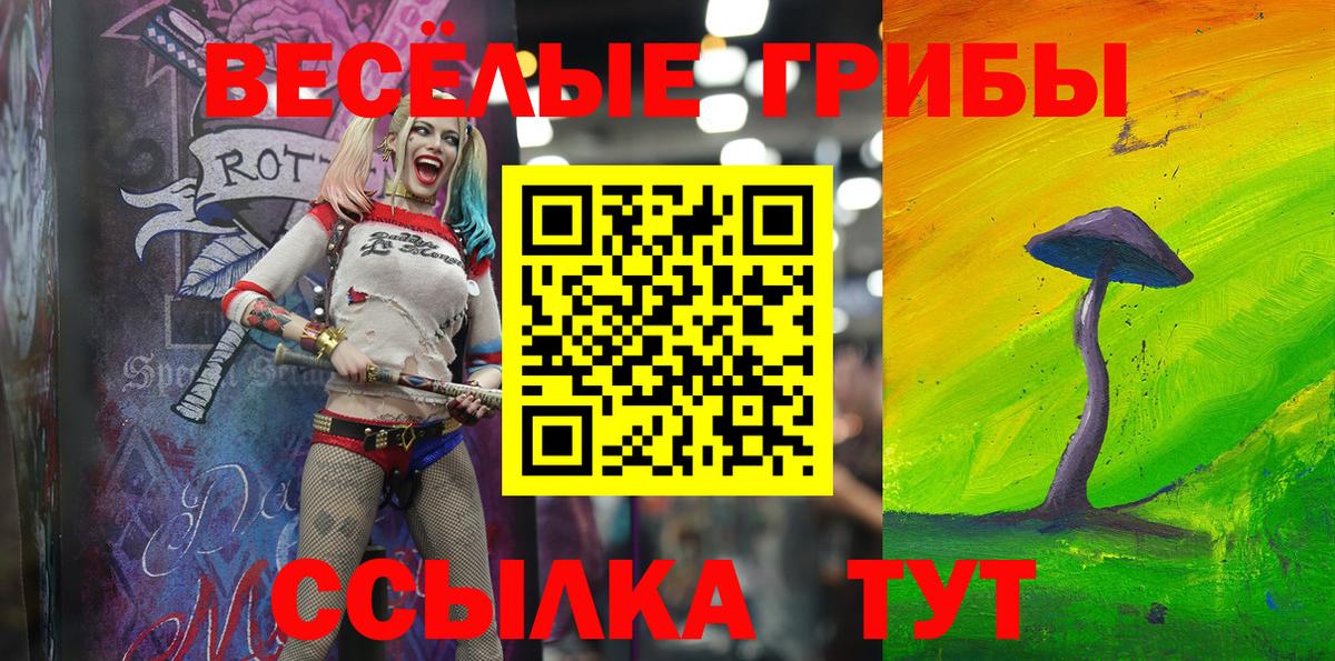 Менделеевск  Галлюциногенные грибы Cubensis  Вход с VPN 
