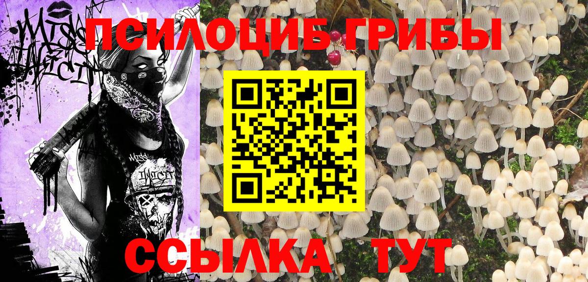 Псилоцибиновые грибы мицелий Менделеевск