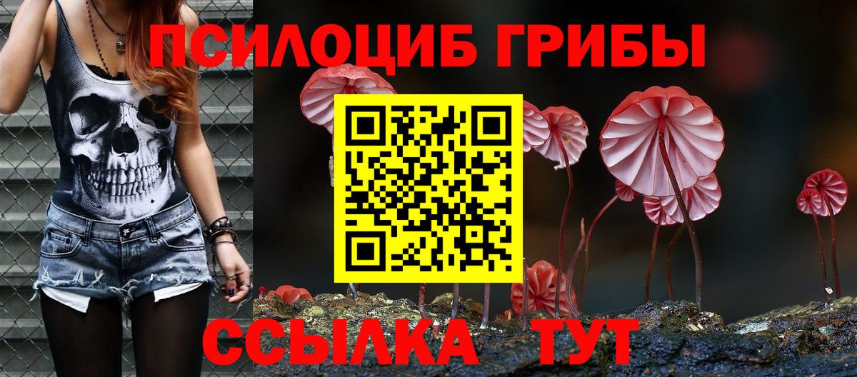 Галлюциногенные грибы Psilocybine cubensis  продажа наркотиков  Менделеевск  Псилоцибиновые грибы Psilocybine cubensis  Вход с VPN 